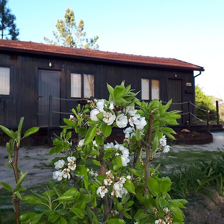 Casinha Do Cedro Villa Baião Exterior foto